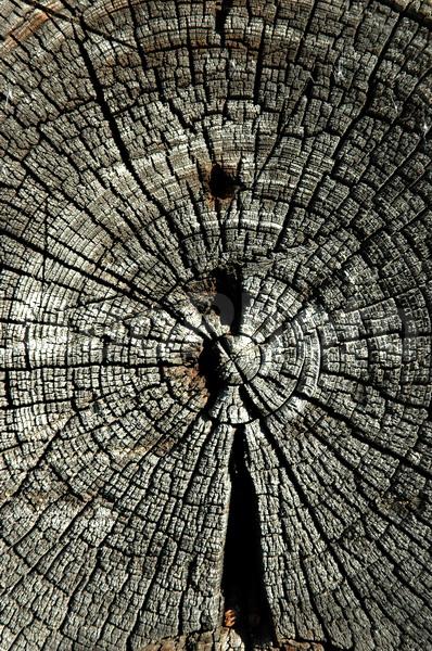 ������������� �������, ��������, ����������� ������������ ����, ���������, ������, ������� �����, ������, �������� ������, ������, ����������, ���, ���������� ����������, ������� �����, ����, ������, �������, �����, ����������, �����, ��������, ����, ��������, ������, �����, �������, �������, �������