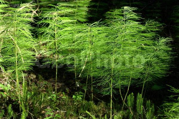 ������������� �������, ��������, ����������� ������������ ����, ���������, ������, ������� �����, �������� ��������������, ������, �������� ������, �������, ���������� ����������, �������, ����, ��������, ���, ����, �������, �����, �����, ����, �����, ��������, ����������, �����