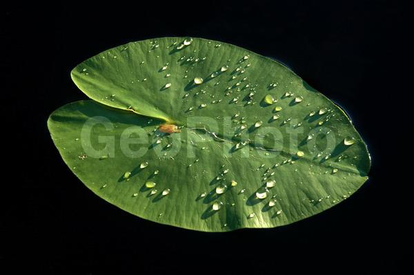 ������������� �������, ��������, ����������� ������������ ����, ���������, ������, ������� �����, ����, �����, ���������� ����������, �������, ����, �����, �����, ����, �����, ����, �������, �����, ���������, ����, �����, �����, ������