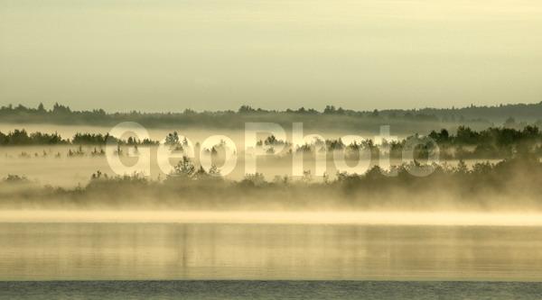 ������������� �������, ��������, ����������� ������������ ����, ���������, ������, ������� �����, ������, ������, �������, �����, ������, ����������, ���������� ����������, �������, ����, ���, ����, �������, ������, �����, ���������, ������, �����������, �������, �����, �����, �����, ����, �����