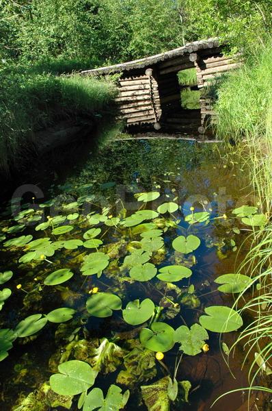 ������������� �������, ��������, ����������� ������������ ����, ���������, ������, ������� �����, ����������, ���������� ����������, ����, ��������, ����, ������, ����, ������, �������, ������, �����, �����, ������� ����, �����, �����, ������������