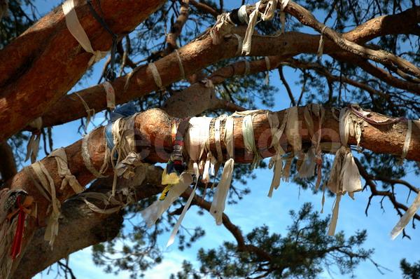 ������������� �������, ��������, ����������� ������������ ����, ���������, ������, ������� �����, ����, ���������, �����, ������, �������, �������, ����������, ���������� ����������, ����, �����, ����, �������� ���������, ��������, �������, �����, ����������, �����������, ��������� ������, ���������, �����, �����, ������, �����, ���, �����, ������������, ��������, ���������