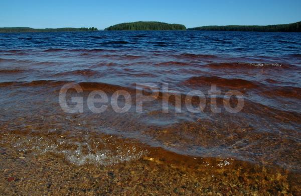 ������������� �������, ��������, ����������� ������������ ����, ���������, ������, ������� �����, �����, ����, �����, ��������, ������, ���������� ����������, ����, ����, �������, ����, �����, ������, ������, �����, ������, �����, �����, �����, ������