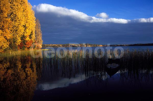 ������������� �������, ��������, ����������� ������������ ����, ���������, ������, ������� �����, �����, �������, ������, ������, ���������� ����������, ������� �����, ���������, ������, �����, �������, ����, �����, �����, ����������, ���������, ������, �����, ��������, �����, �����, ����, �����, �����