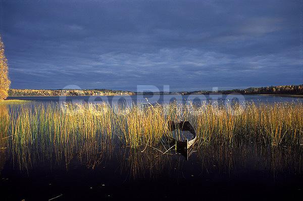 ������������� ���, ��������, �������, �����, �����, ��������, �����