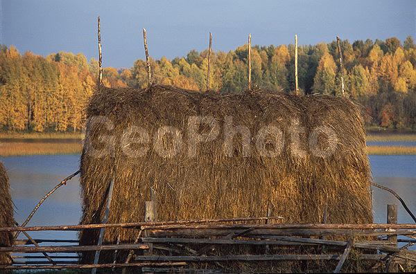 ������������� �������, ��������, ����������� ������������ ����, ���������, ������, ������� �����, ���������, �������, ������, ���������� ����������, ������� �����, ���������, ������, �������, ����, �����, �����, ������, �����, ����, ��������, �����, ����, �����, �����