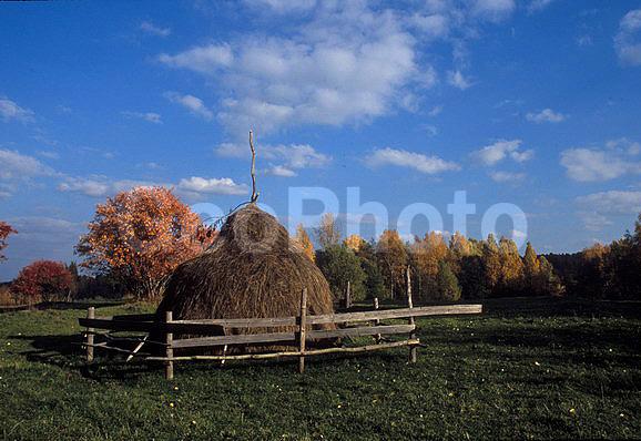 ������������� ���, ��������, �������, �����, �����, ��������, �����