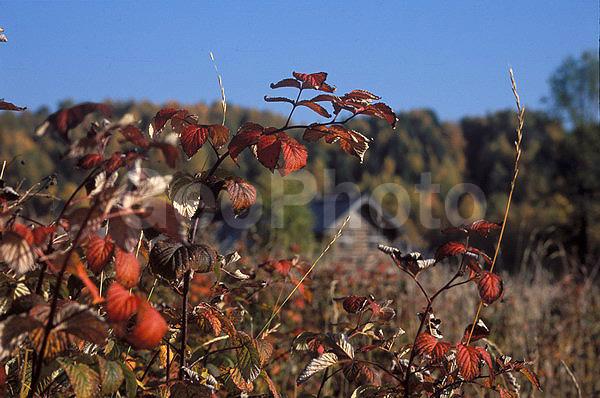 ������������� ���, ��������, �������, �����, �����, ��������, �����