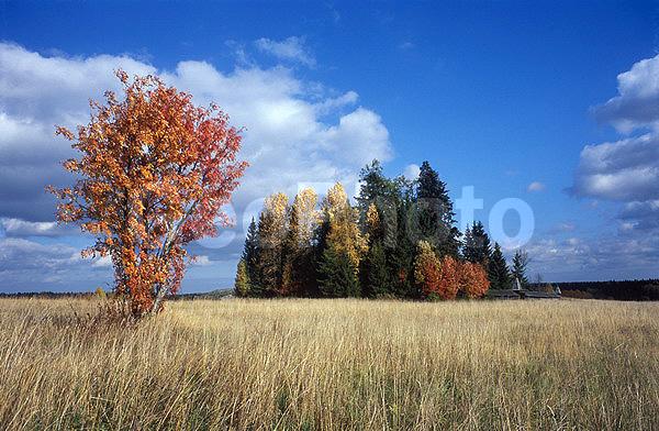 ������������� �������, ��������, ����������� ������������ ����, ���������, ���������� ������, ����������, ������, ������� �����, ����, ����������, �����, ����, �������, ������, ���������� ���������, ����������, ���������� ����������, ������� �����, ����������, �������, ���������, �����, �������, ����, ������, ����, �����, ������, ������, ����, �����������, ������, �����, ��������, �����, �����, ����, ������������, ������, �����