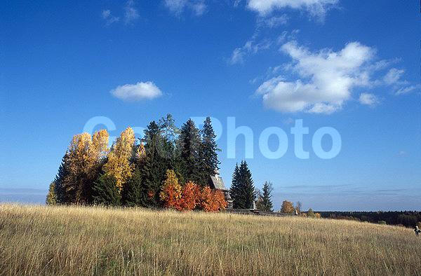 ������������� ���, ��������, �������, �����, �����, ��������, �����