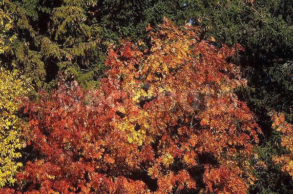 ������������� �������, ��������, ����������� ������������ ����, ���������, ������, ������� �����, ����, ������, ���������� ����������, ������� �����, �������, ���������, ����, ������, ������, �������, �����, �����, ��������, �����, �����