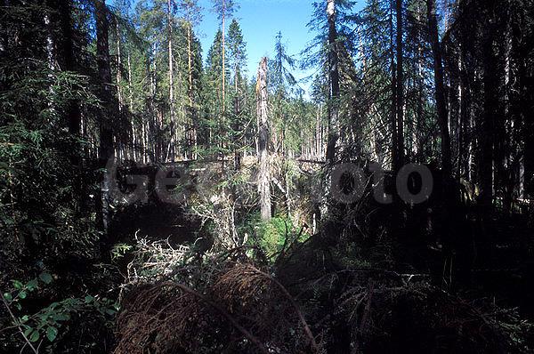 ������������� �������, ��������, ����������� ������������ ����, ���������, ������, ������� �����, �������, �������, ���������� ����������, �������, ����, ���, ����, �������, �����������, �������, �����, �����, ��������� ��������, ������, �����, ������, ����, ������