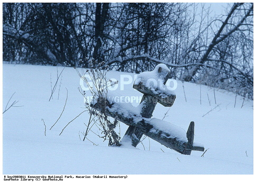 ����, ����, ����������� ������������ ����, ��������, �������, ������������ ���������, ���������