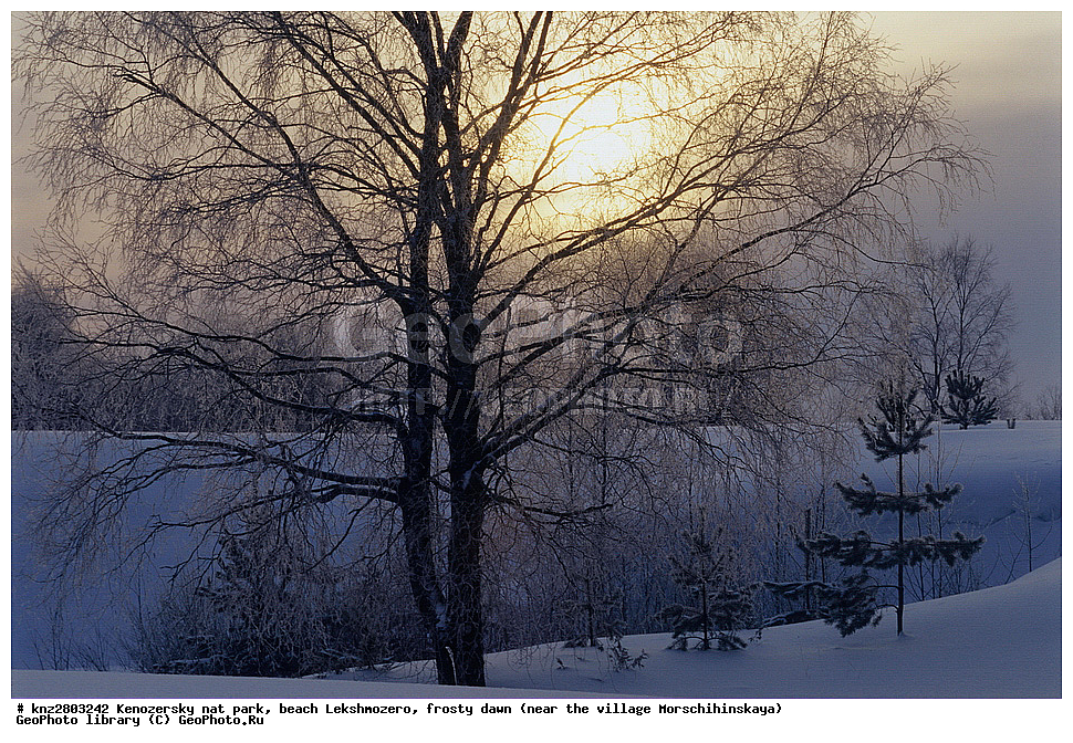 ����, ����, ����������� ������������ ����, ��������, �����, ���������� , �������� �������, �����������, �������, ������������