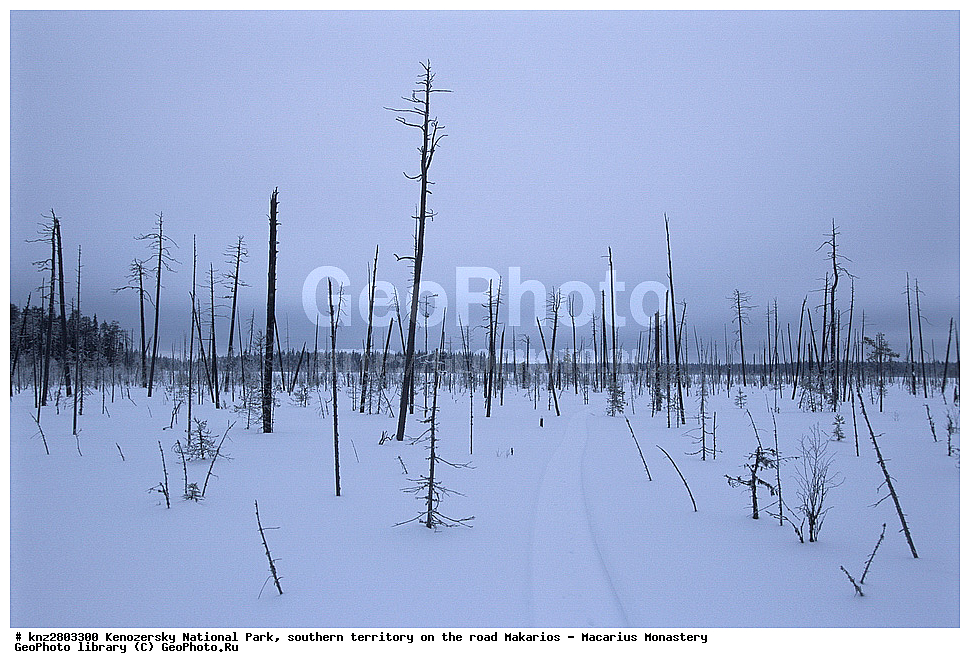 ����, ����, ����������� ������������ ����, ��������, ����� ����������, ������, �������