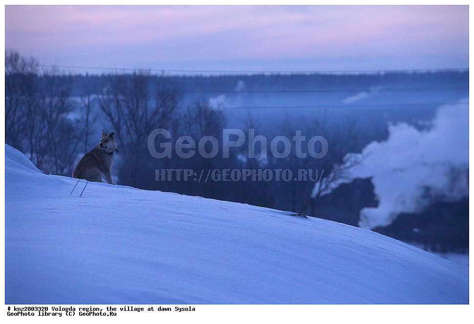 ����, ����, ����������� �������, �������, ������, �������