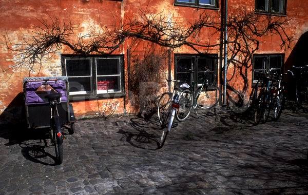 �����, ���������, �������� ��������, ���������, ���������� ����� �����, ����, ���, ����, ���������� ����, �����