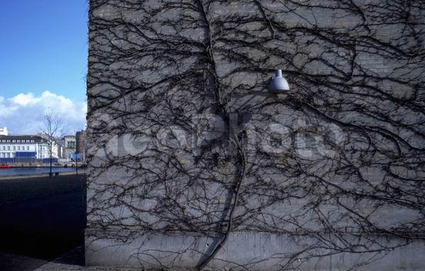 �����, ���������, �������� ��������, ���������, ����, ���, ��������, ����������, ����, ���� �� �����, �����, ������