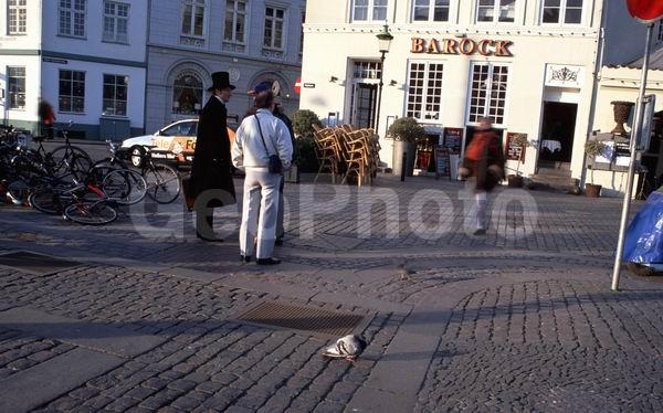 �����, ����������, ���������� �����������, �������� ��������, ����������, ���, ����, ����, ���� �� ������, �������, �������