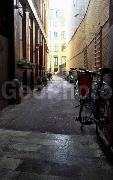 �����, ����������, ���������� �����������, ����������, ������, ������, �����, ����