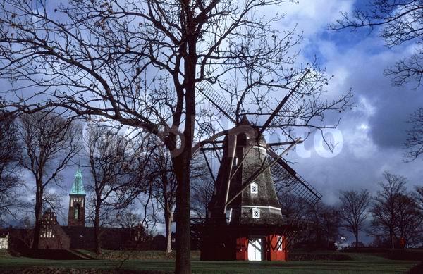 �����, ����������, ���������� �����������, �������� ��������, ���������, �������� ��������, ������, �����������, ����, ������