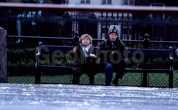 �����, ����������, ���������� �����������, ������������������, �������, �����, ��������, ��������