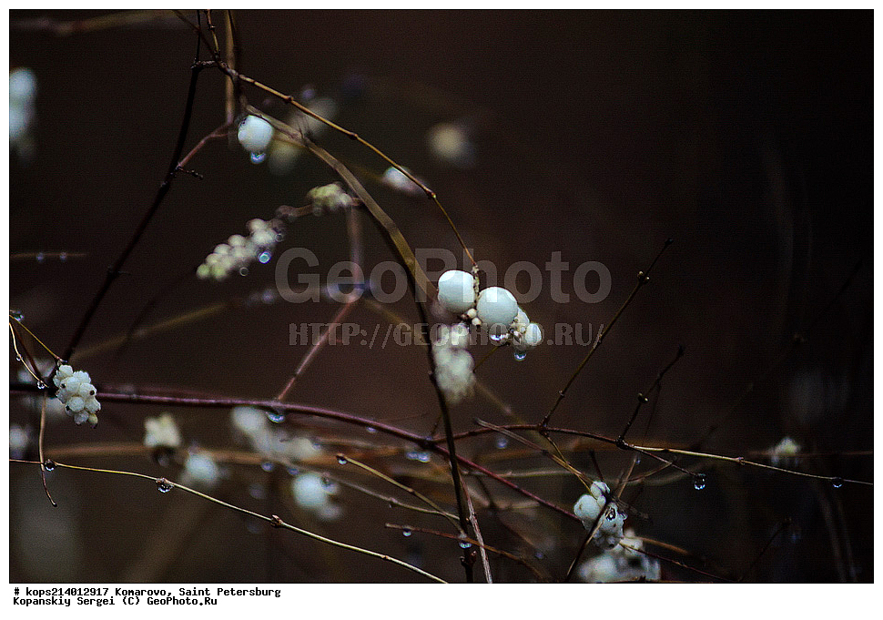 ��������, �����-���������, ����, �����, �����, �����, �������������,�������,������ �����,�����, ����� �����, ����� �����, ����