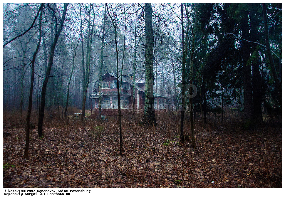 ��������, �����-���������,  �������, ���, ������, ������� ������, ����, ����, ��������, �����, �����,  ������� �������,  ����, ��������, ��������, ���, ���������� ���, ��� � ����