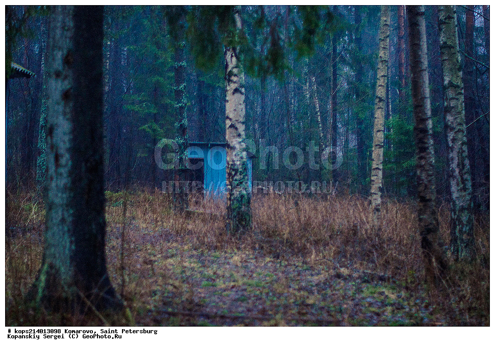 ��������, �����-���������, �����, �������,  �����, �����,  ������� �������, ������, ����, ������, ������� ������, ��������, ��������, ��������