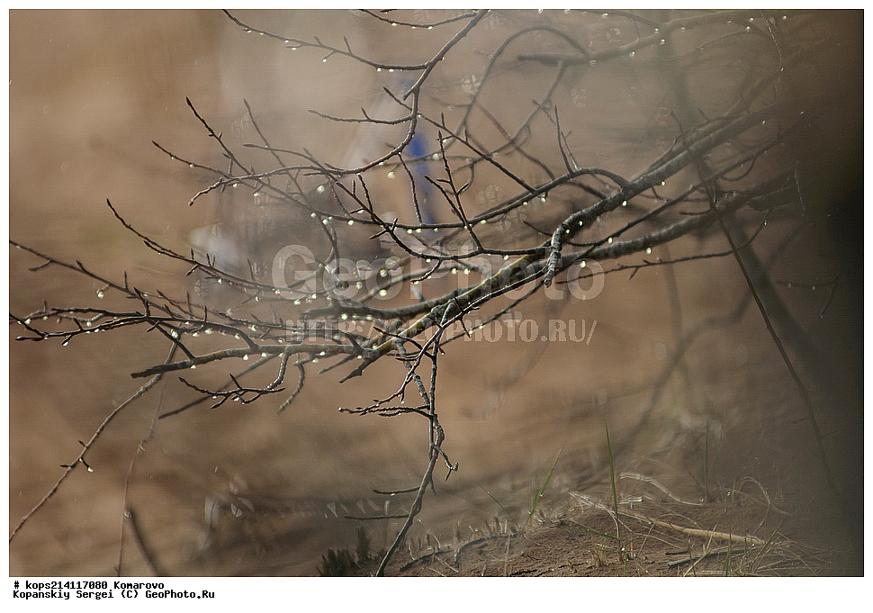 �����-���������, ��������