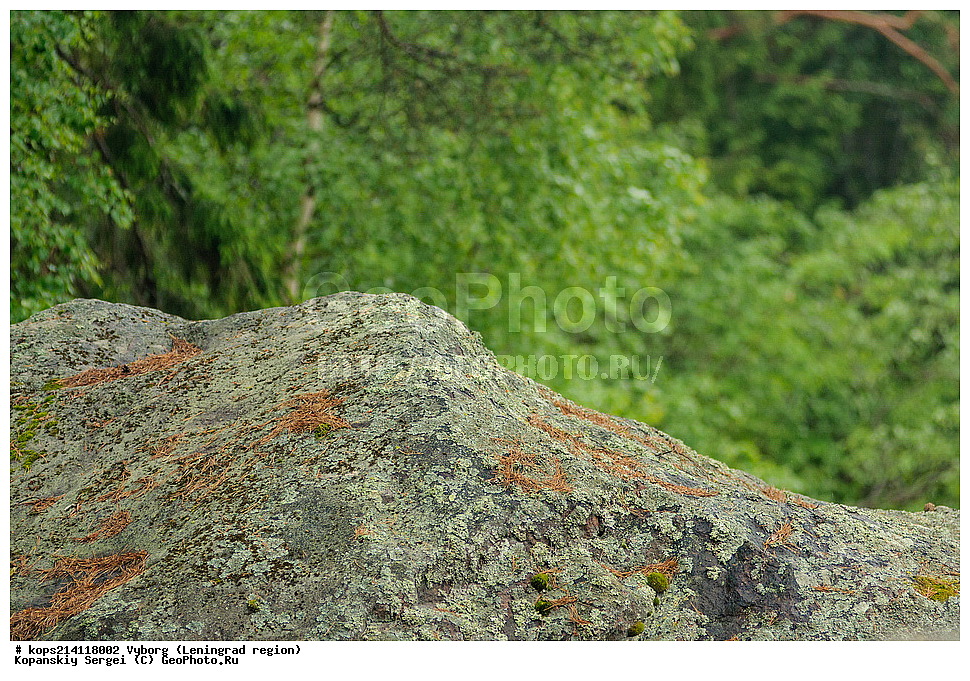 ������, �����, �������������, �������