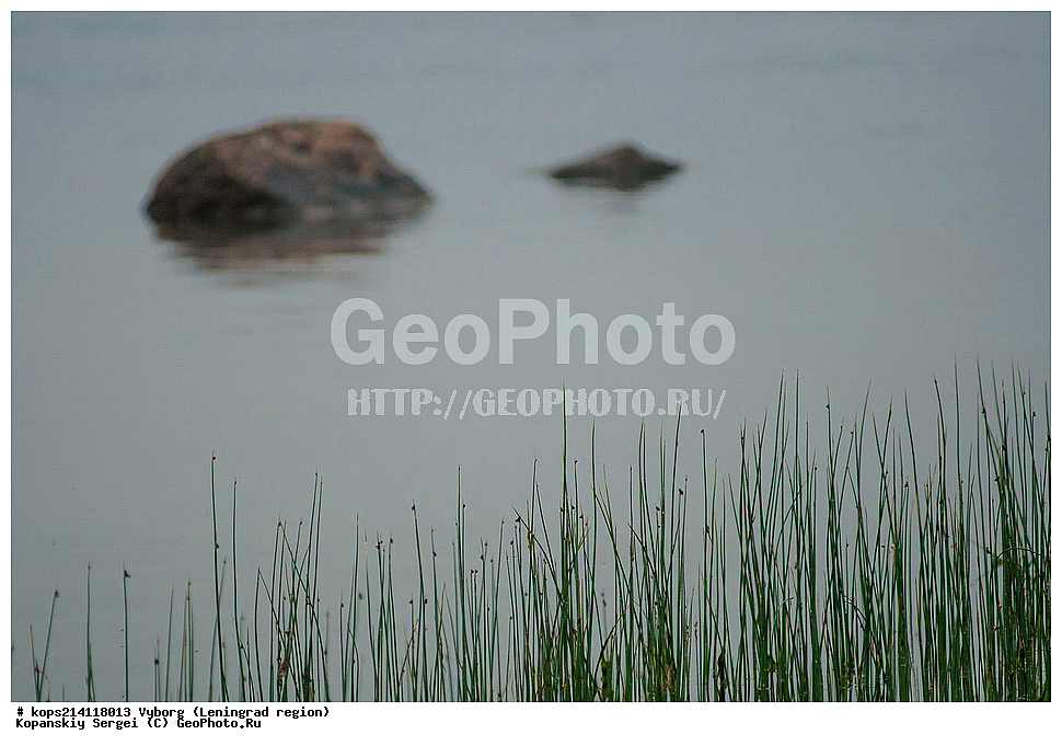 ������, �����, �������������, �������