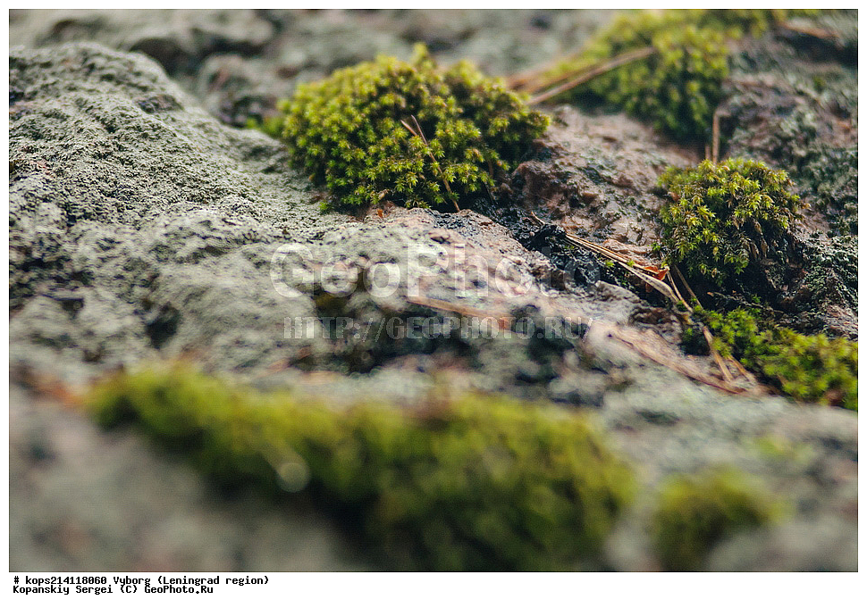 ������, �����, �������������, �������