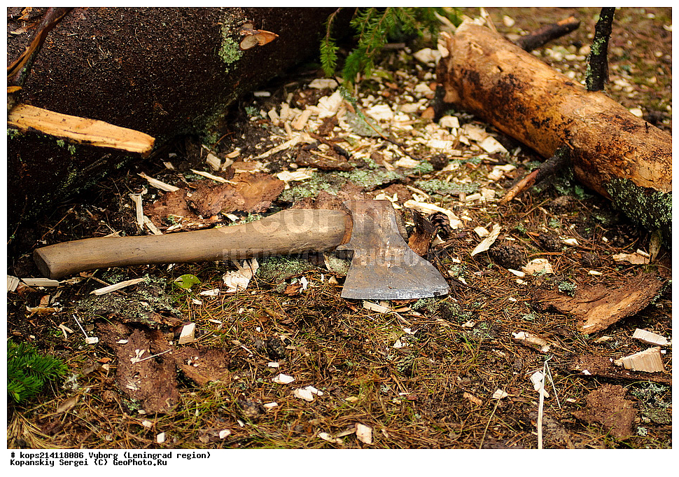 ������, �����, �������������, �������