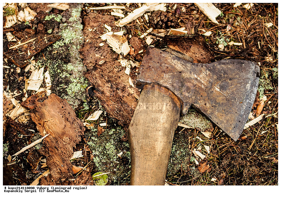 ������, �����, �������������, �������