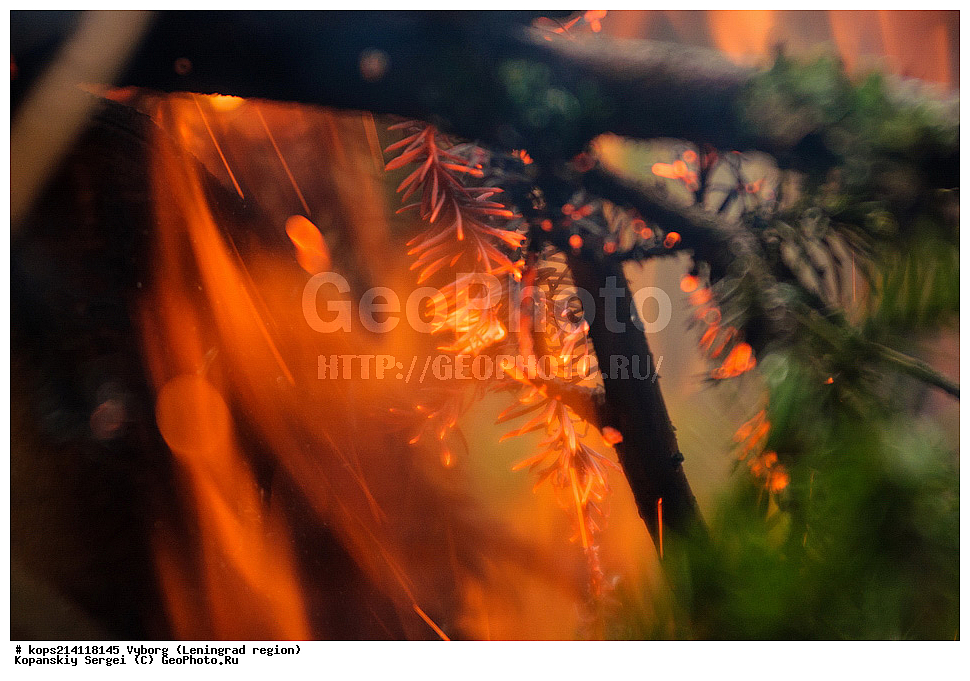 ������, �����, �������������, �������