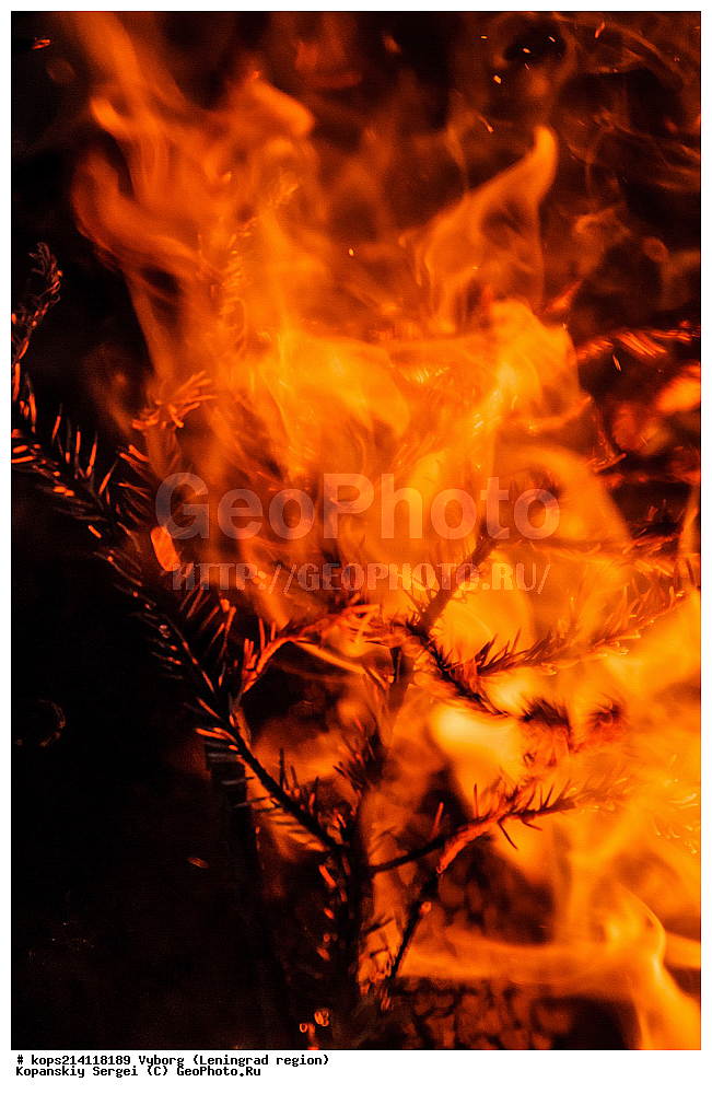 ������, �����, �������������, �������