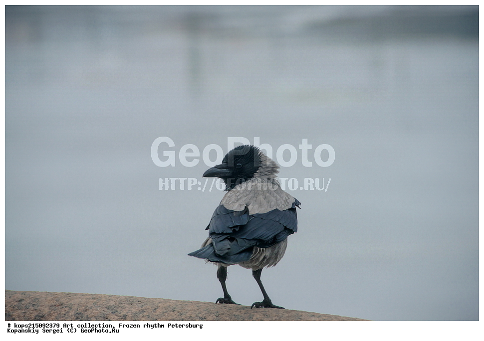 ���-���������, �������, ��������� �������, ���������, �����-���������, ������