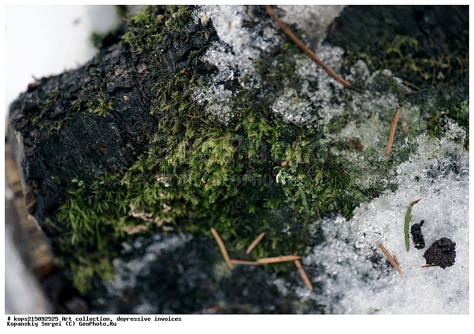 ���-���������, ������������ �������, �������