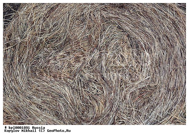 ������� � �����������, ������, ������ �����������