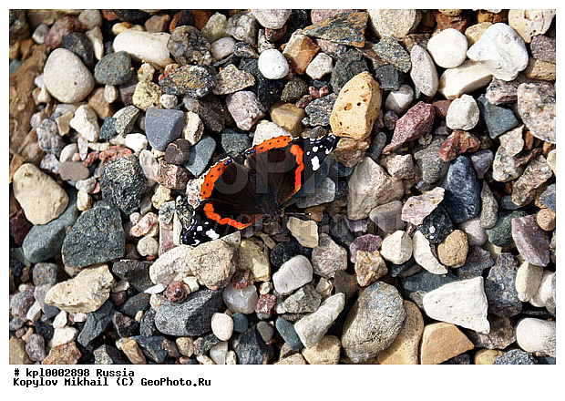 ������� � �����������, ������, ������ �����������, �������, ������