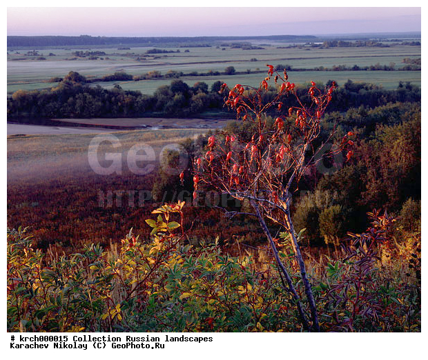 ��������, ������, ������� ������