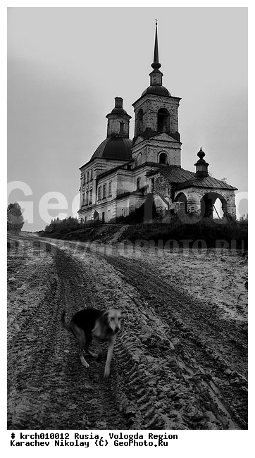 B&W, ��������� �������, ����������� �������, �����������, ���������, �������, �����������, �������