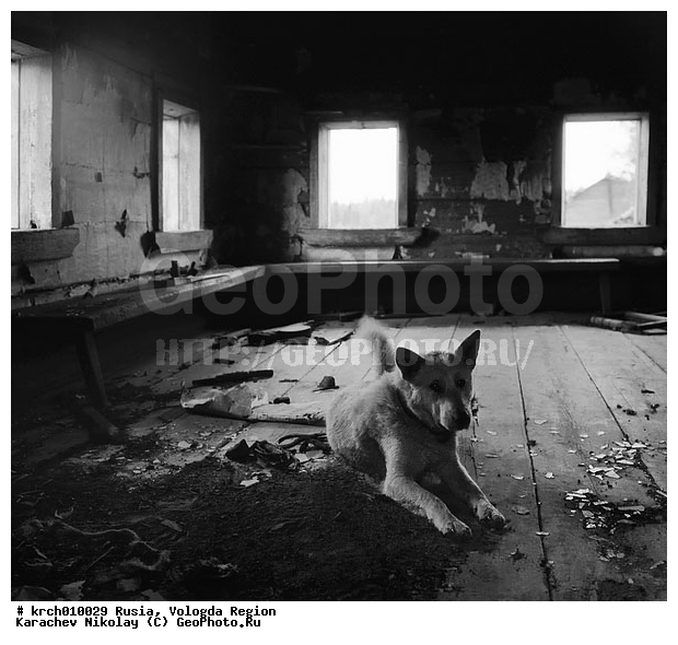 B&W, ��������� �������, ����������� �������, �����������, ���������, �������, �����������, �������