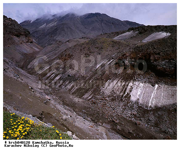 ����������, ��������, ������, ������ ����������