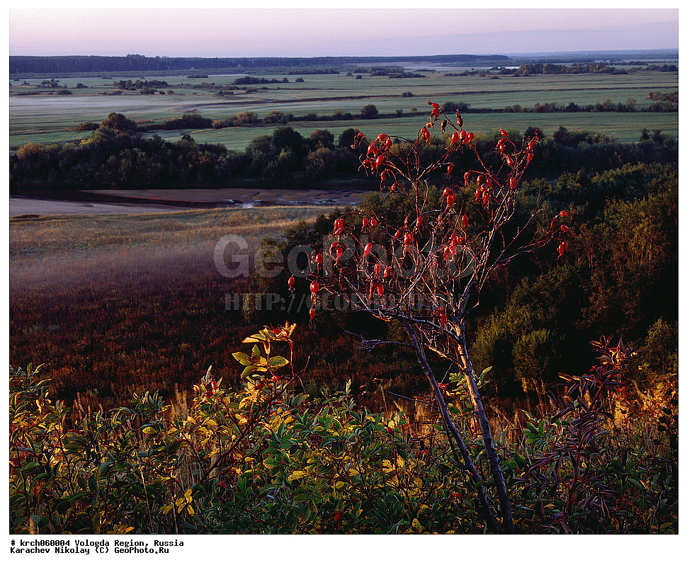 ����������� �������, �����������