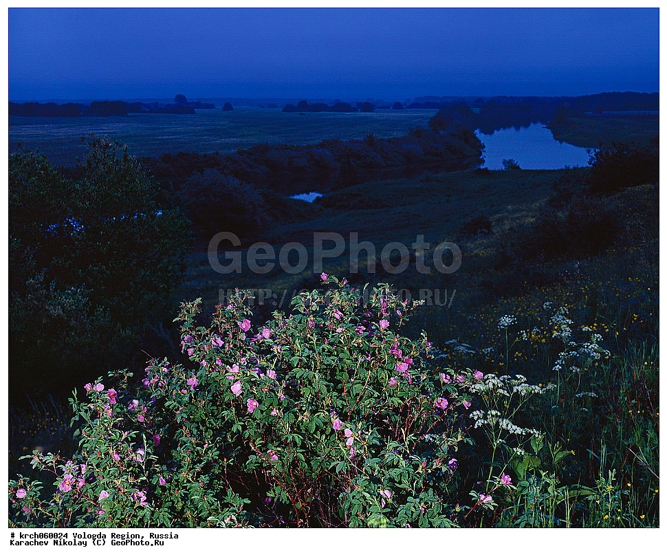 ����������� �������, �����������