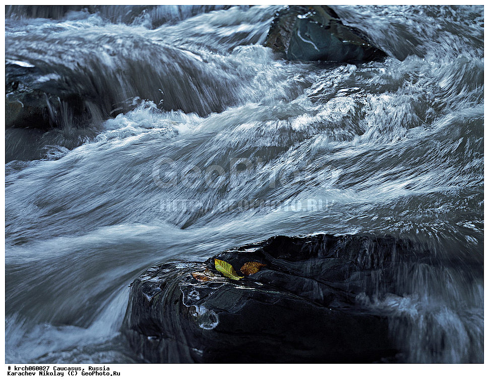 ���� ������, ������, ������������� ����