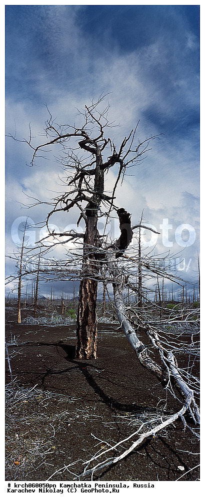 ���������� ����, ��������