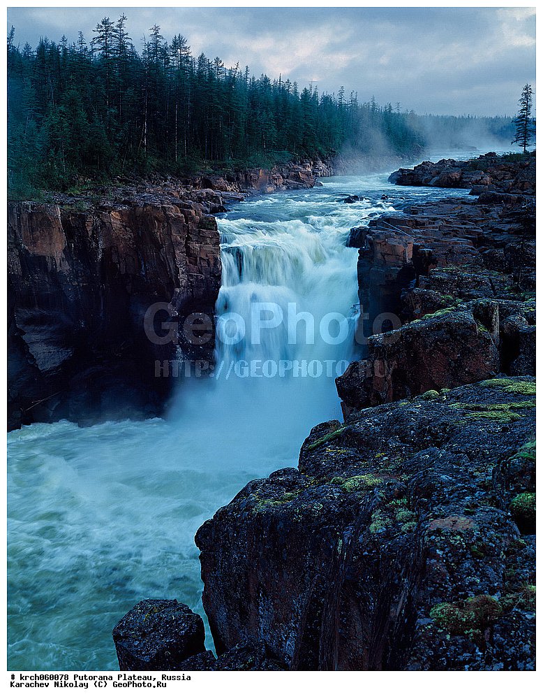 ������������ ����, ����� ��������, ��������������� �����������